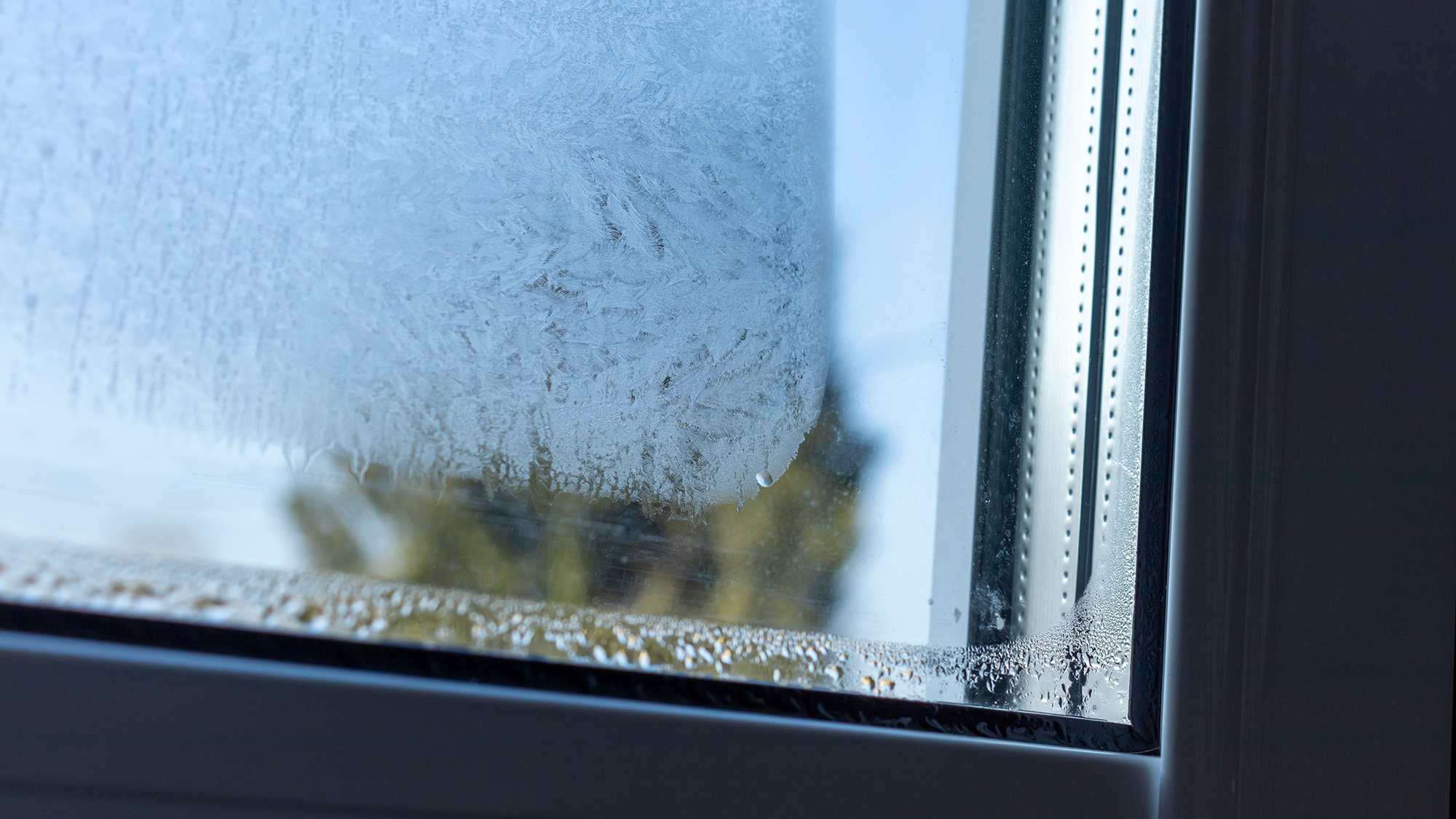 Condensation Between Window Panes: Causes and Fixes