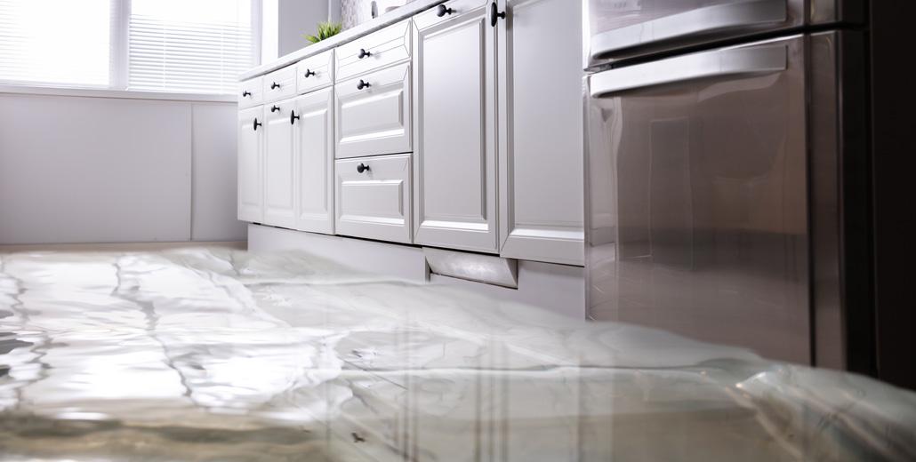 6 Causes of a Leaking Refrigerator (And How to Stop It)