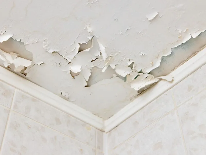 A person scraping loose, bubbled paint from a ceiling over a plastic-covered floor with a putty knife