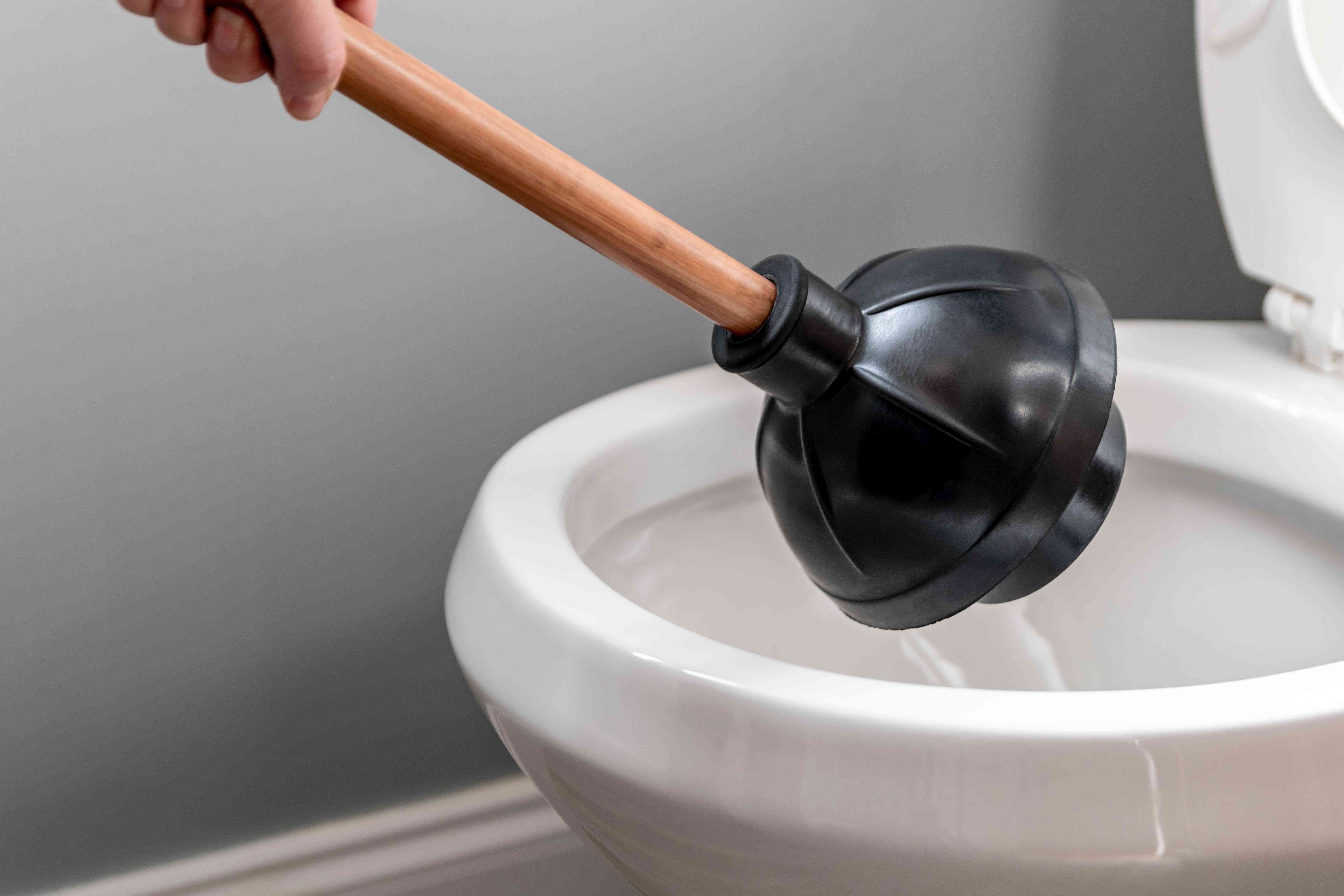 A toilet flange plunger positioned in a toilet bowl, creating a seal at the drain opening