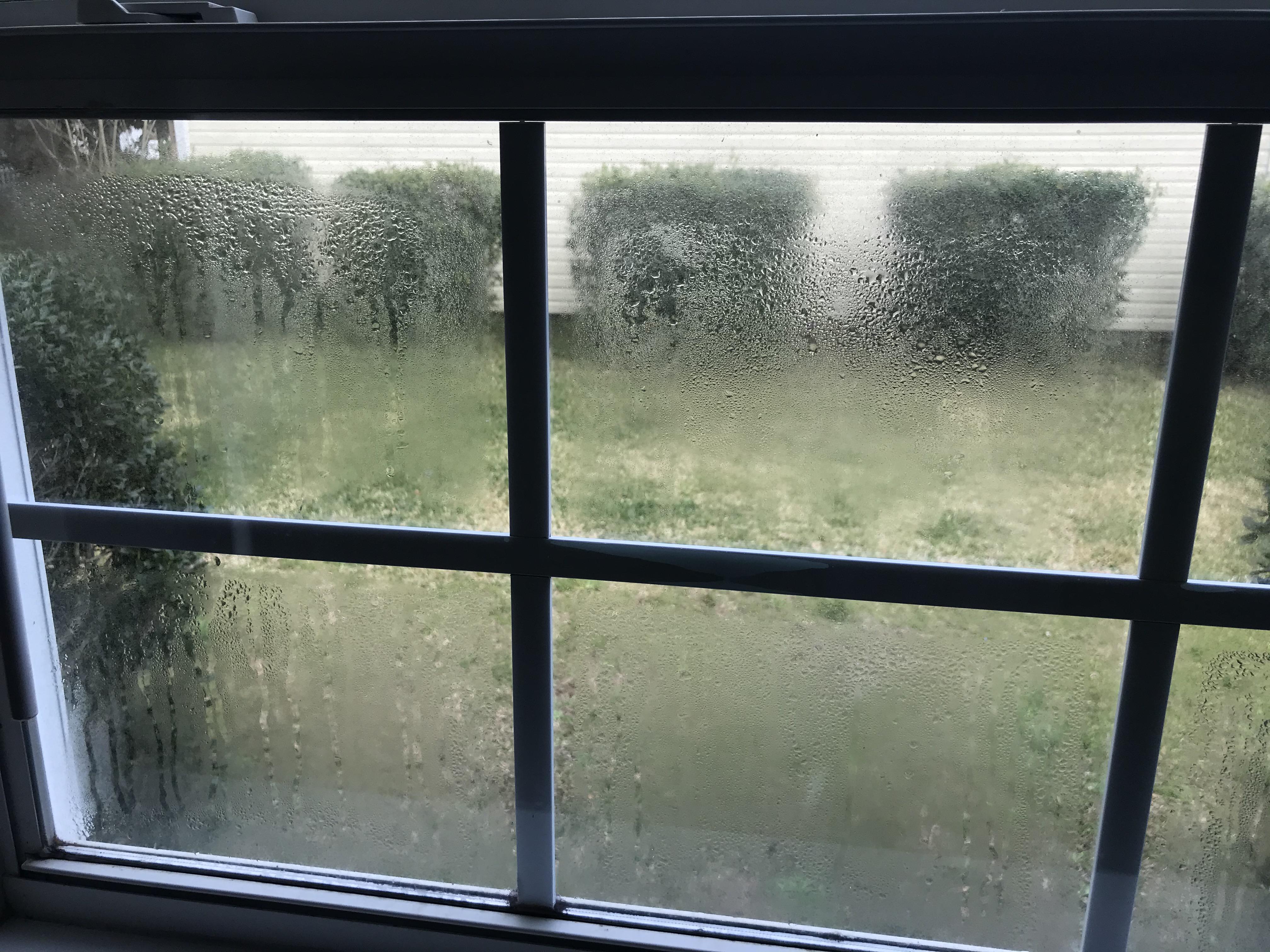 A window corner showing cloudy haze concentrated along the edge where the insulated glass unit seal has failed