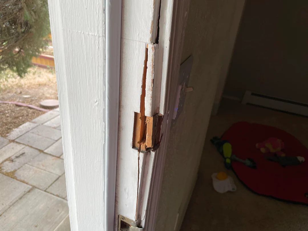 A wooden door frame clamped across a split on the latch side, with the crack pulled closed and the clamp positioned to avoid the door stop