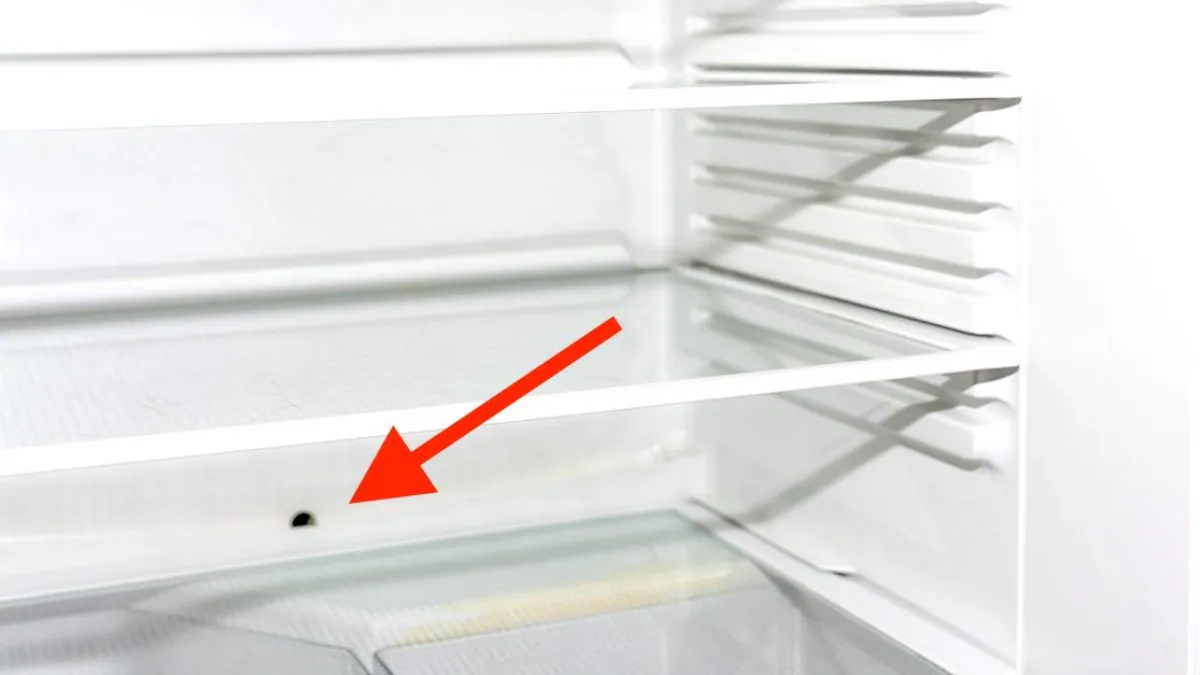 Close-up view of the bottom of a freezer compartment showing the defrost drain hole area near the back wall