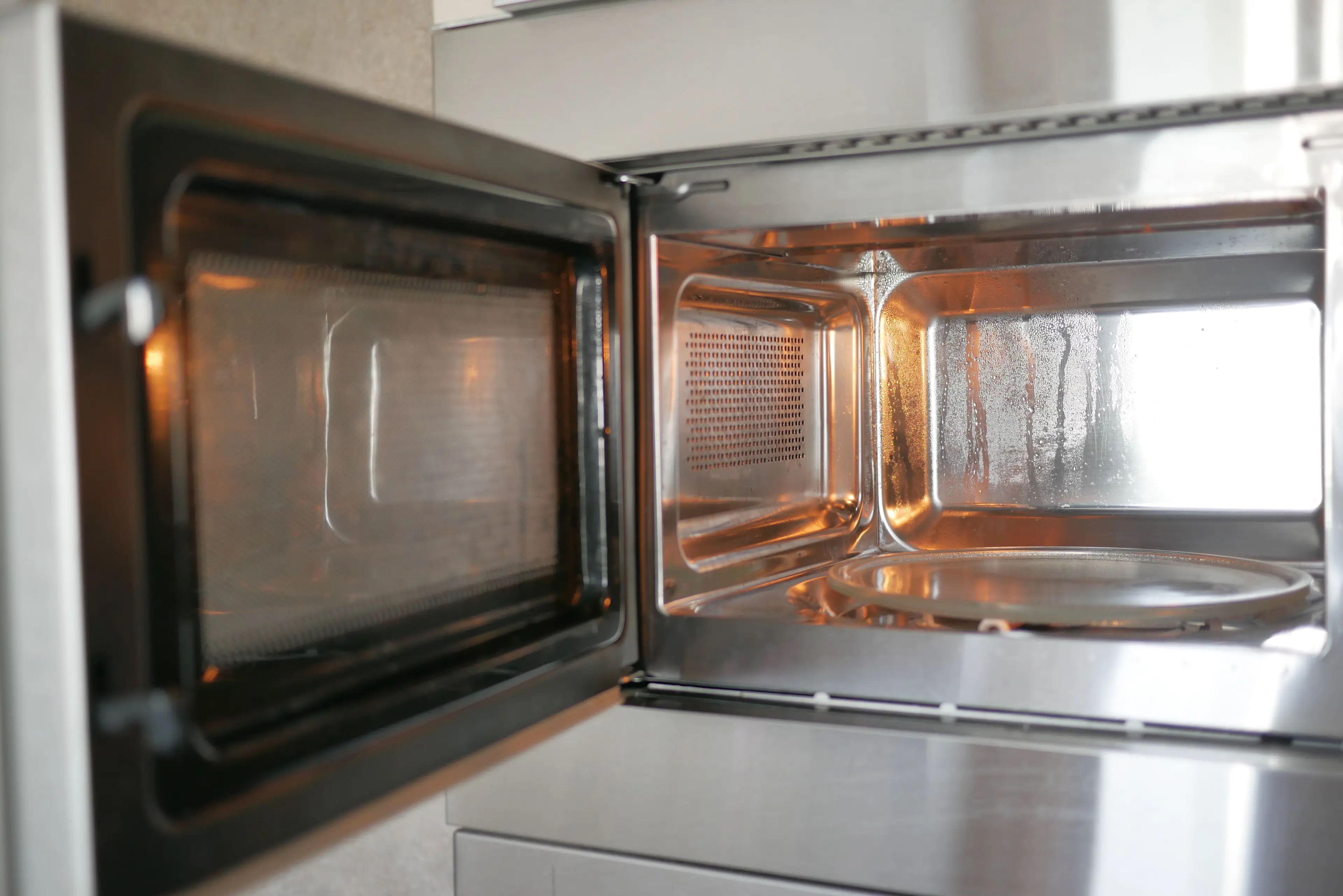 Interior of a microwave oven showing the side wall with a small rectangular waveguide cover panel secured by a single screw